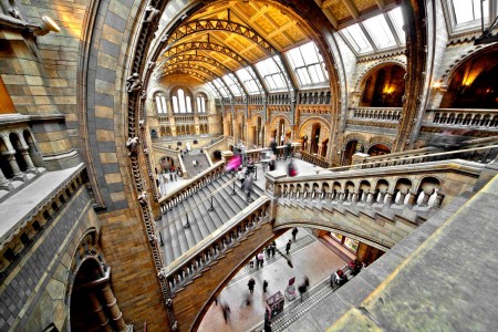 Natural History Museum - London tours