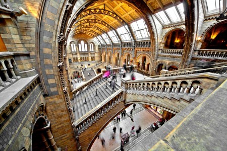 Natural History Museum - Leading Tours London Natural History Museum - London tours