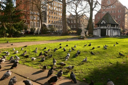 Soho Square - London Leading Tours