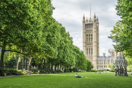 Private Tour of Westminster and the British Museum - London