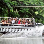 Safari trips from Punta Cana