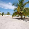 Trip to Saona island - Dominican Republic