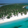 The island of Saona