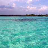 visit Saona island from Punta Cana