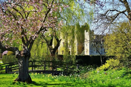 Tour to Hever Castle and Bodiam Castle in High Weald Tour to Hever Castle and Bodiam Castle in High Weald