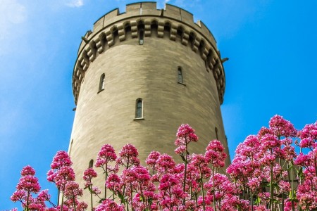 Day Trip to The Castle of Arundel