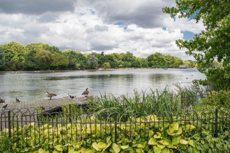 Hyde Park and Kensington Gardens Tour