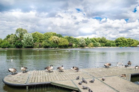 Tour of Serpentine lake - London