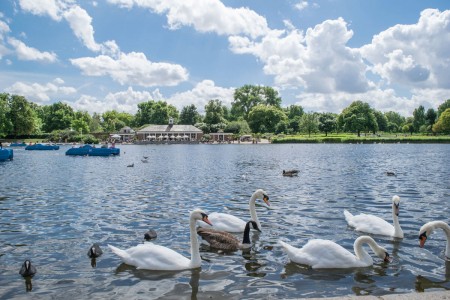 Walking Tour of Hyde Park and Kensington Gardens