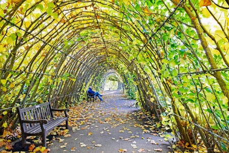 Walking tour of Kensington Gardens